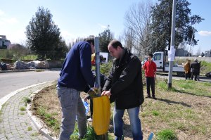 bonelliBENTIVOGLIOparconobile
