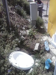 PINOfontanadiscarica (2)