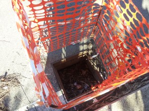 PINOtombinintelligenti B