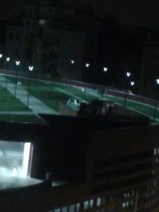 In macchina dentro il giardino  (si ringrazia L. Giribaldi per la foto)