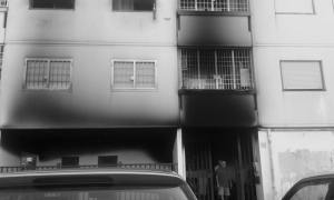 11889461_10208032068667928_4291422318024136661_n