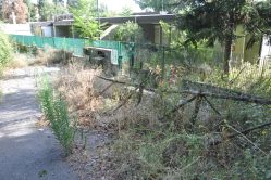 Il vialetto di accesso all'asilo 