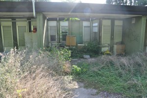 Di nuovo l'asilo invaso dalle piante