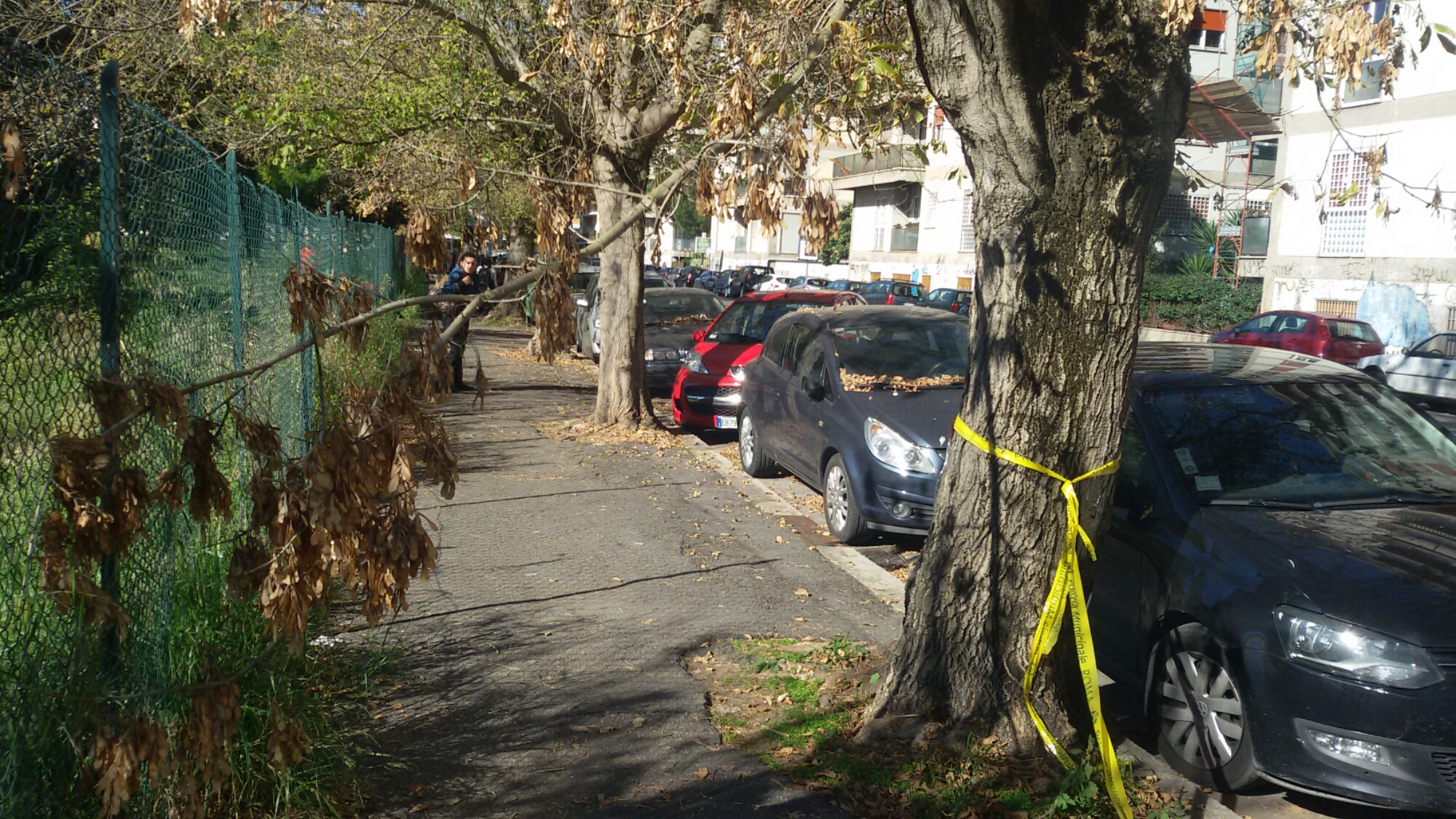 20151108_122019.jpg image