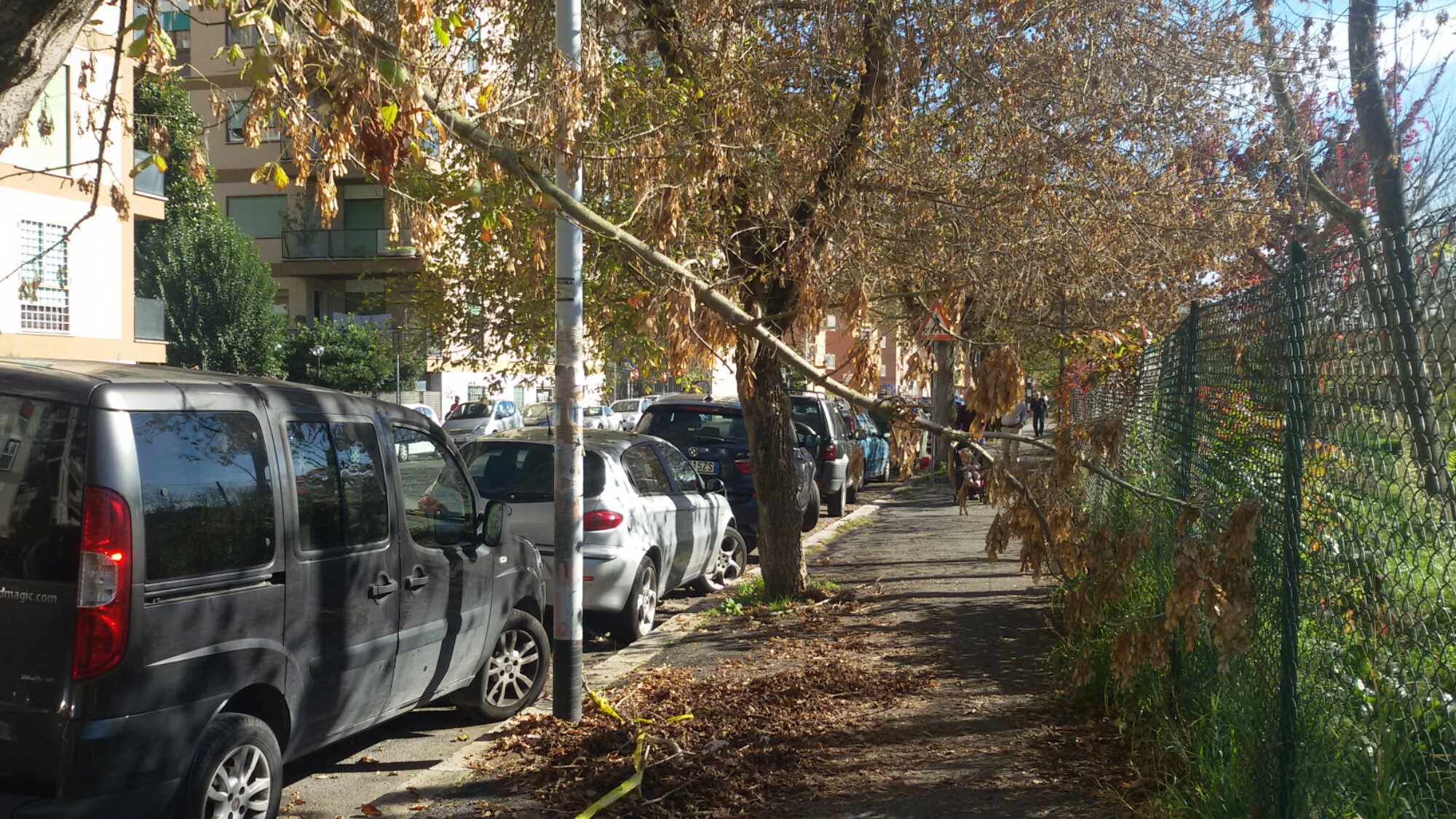 20151108_122032.jpg image