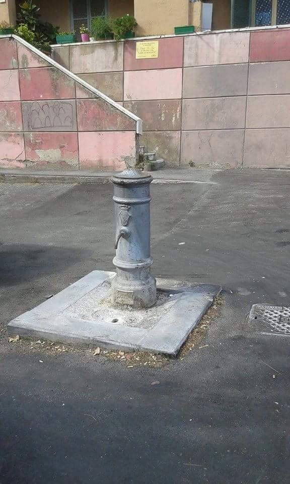 12642950_10208228998192997_4468808270965376422_n