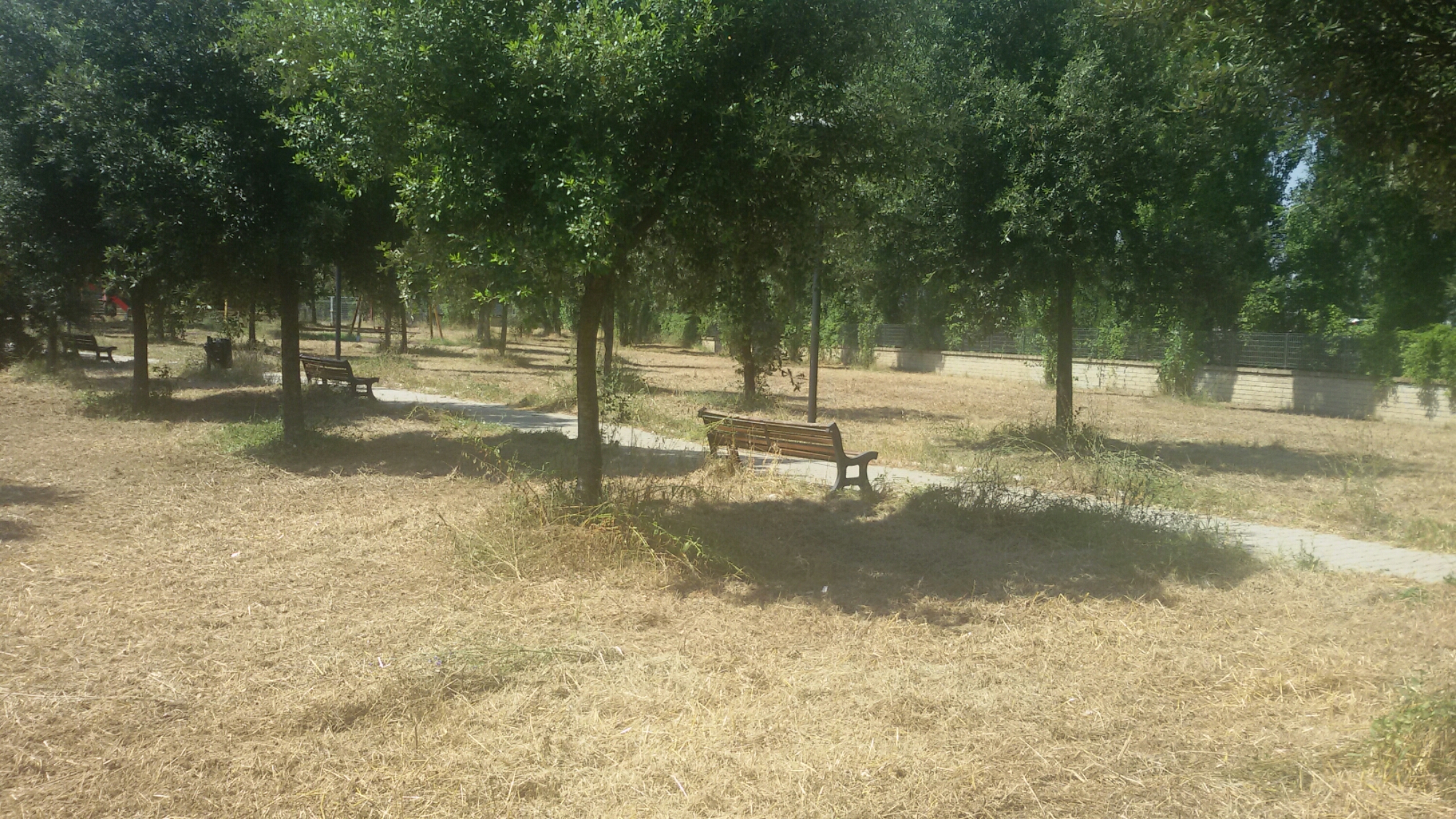 20160708_111034.jpg image