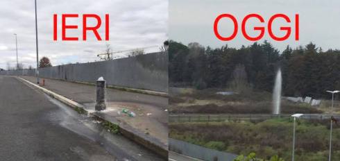 16649582_10212874501965734_8427611915631744071_n