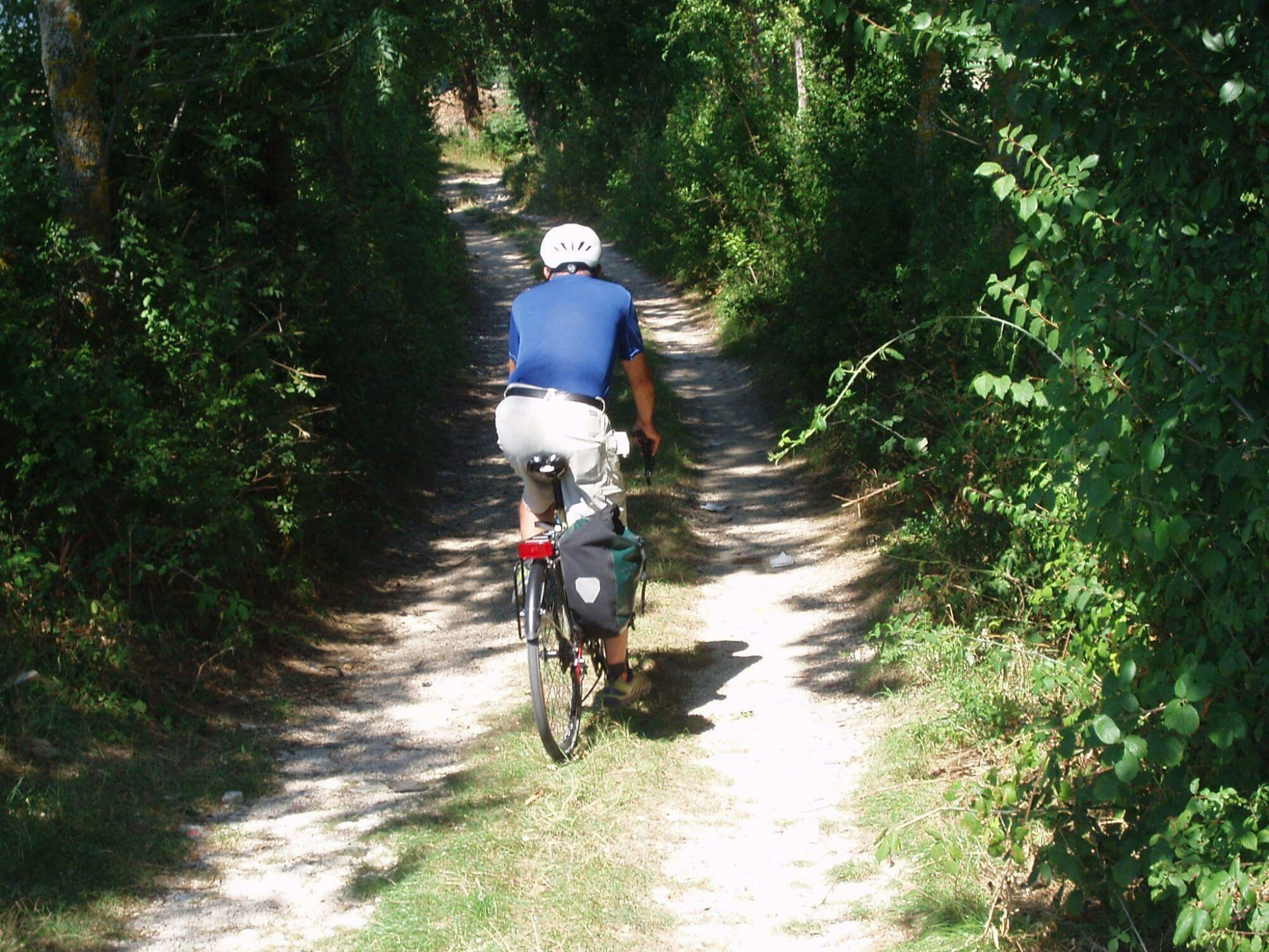 16463281_1188754894507465_1488560505637400378_o.jpg image