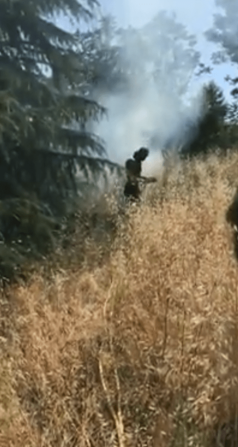 Screenshot_2017-06-13-18-46-34-1.png image