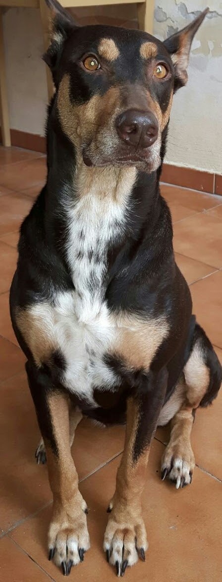 IMG-20170711-WA0018.jpg image