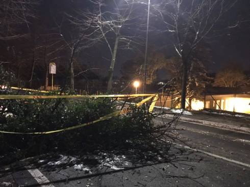 28554917_10213882287525514_981964976_o