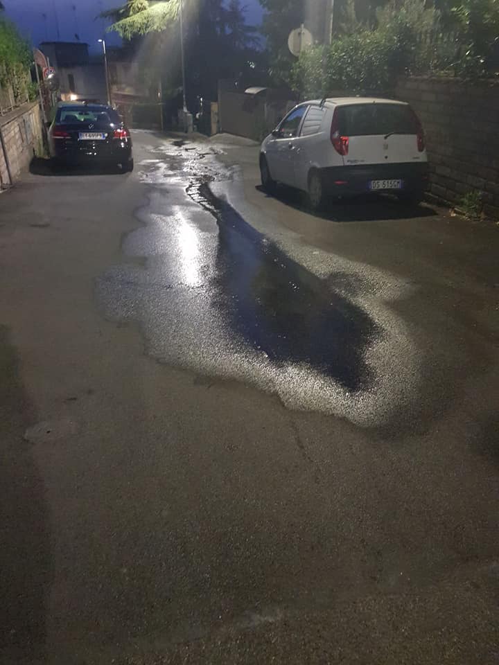 36552229_10214800171512040_4526098615982096384_n